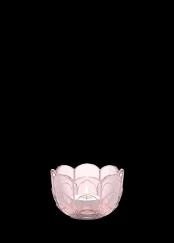 Hot Holmegaard Lily Fyrfadsstage Ø7 cm cherry blossom | Køb nu