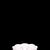 Clearance Holmegaard Lily Isasiet Ø16 cm cherry blossom | Køb her