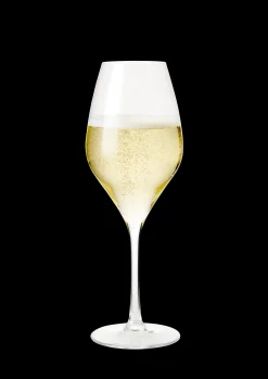 New Rosendahl Premium Champagneglas 37 cl klar 2 stk. | Køb her